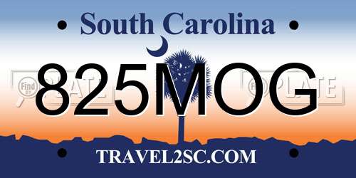 825MOG South Carolina License Plate
