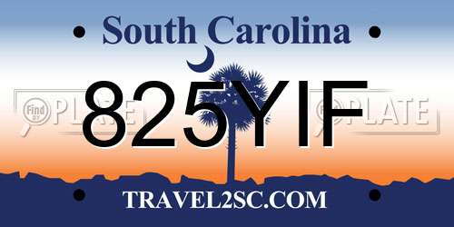 825YIF South Carolina License Plate