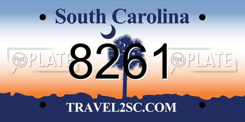 8261 South Carolina License Plate