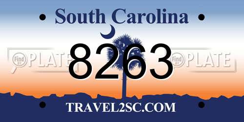 8263 South Carolina License Plate