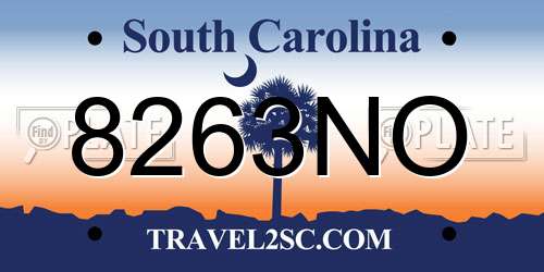 8263NO South Carolina License Plate