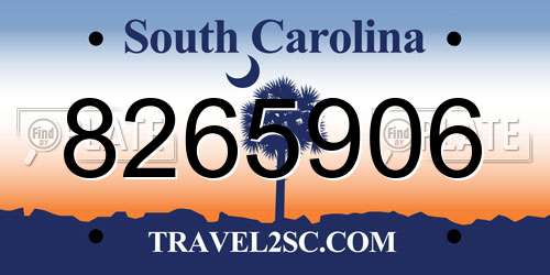 8265906 South Carolina License Plate