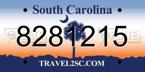 8281215 South Carolina License Plate