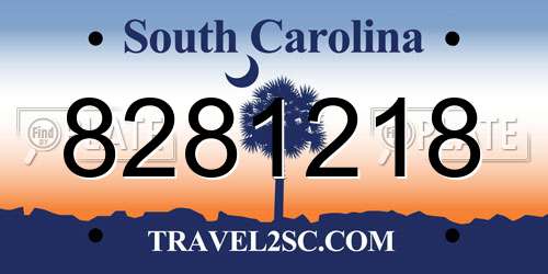 8281218 South Carolina License Plate