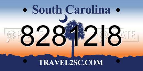 82812I8 South Carolina License Plate
