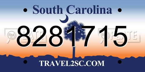 8281715 South Carolina License Plate