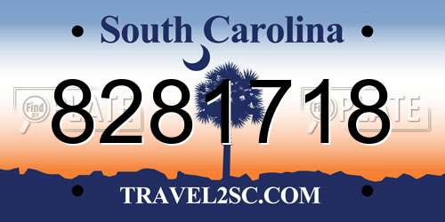 8281718 South Carolina License Plate