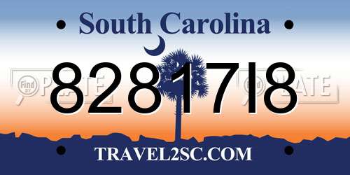 82817I8 South Carolina License Plate