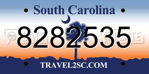 8282535 South Carolina License Plate