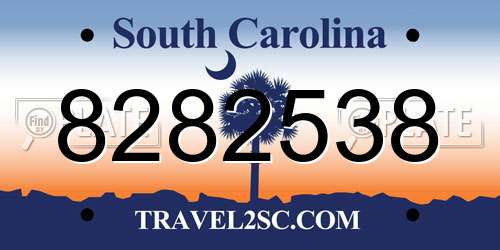8282538 South Carolina License Plate