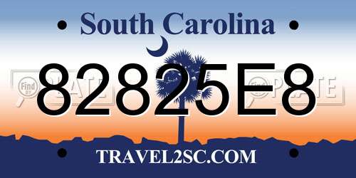 82825E8 South Carolina License Plate