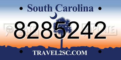 8285242 South Carolina License Plate