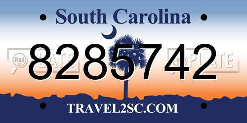 8285742 South Carolina License Plate