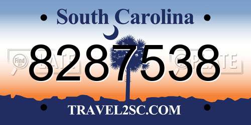 8287538 South Carolina License Plate