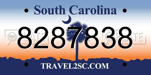 8287838 South Carolina License Plate