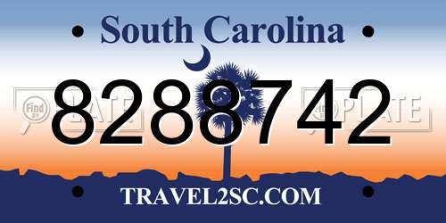 8288742 South Carolina License Plate