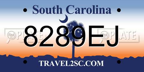 8289EJ South Carolina License Plate