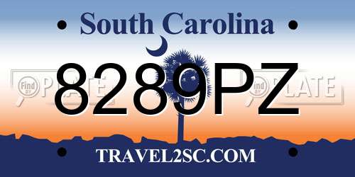 8289PZ South Carolina License Plate