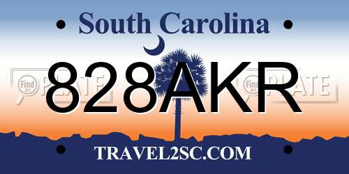 828AKR South Carolina License Plate