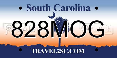 828MOG South Carolina License Plate