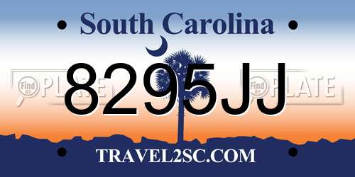 8295JJ South Carolina License Plate