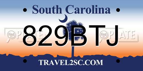 829BTJ South Carolina License Plate