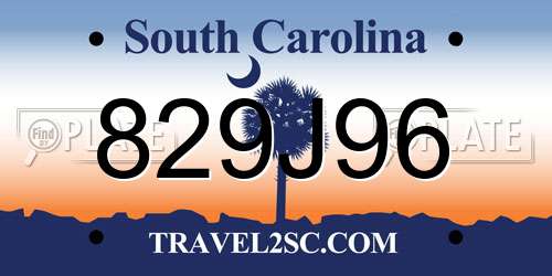 829J96 South Carolina License Plate