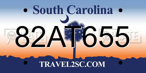 82AT655 South Carolina License Plate