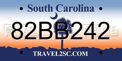 82BB242 South Carolina License Plate