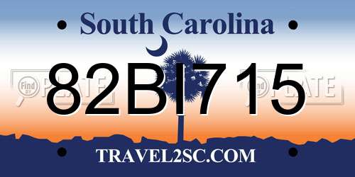 82BI715 South Carolina License Plate