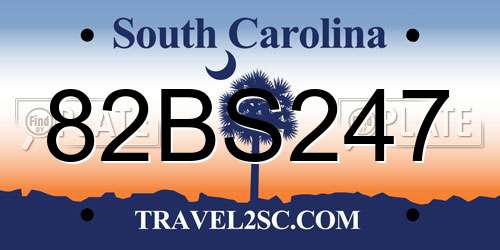 82BS247 South Carolina License Plate