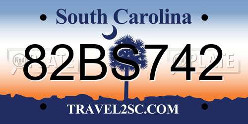 82BS742 South Carolina License Plate