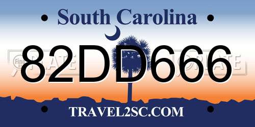 82DD666 South Carolina License Plate