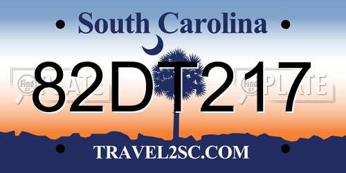 82DT217 South Carolina License Plate