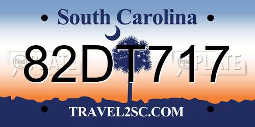 82DT717 South Carolina License Plate
