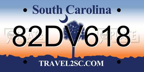 82DV618 South Carolina License Plate