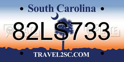 82LS733 South Carolina License Plate