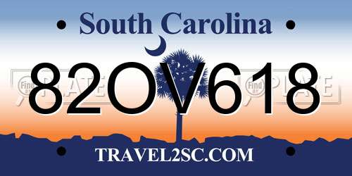 82OV618 South Carolina License Plate