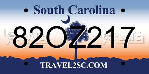 82OZ217 South Carolina License Plate