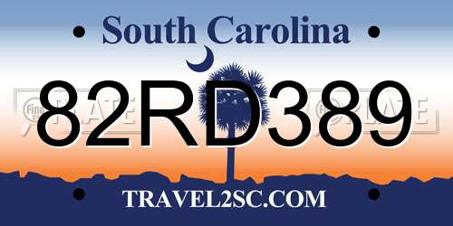 82RD389 South Carolina License Plate