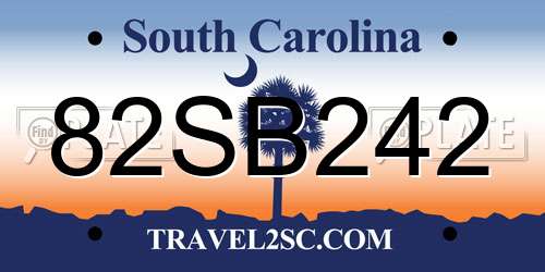 82SB242 South Carolina License Plate