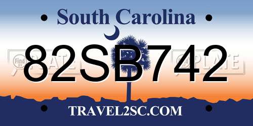 82SB742 South Carolina License Plate
