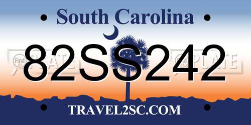 82SS242 South Carolina License Plate