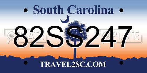 82SS247 South Carolina License Plate