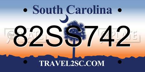 82SS742 South Carolina License Plate