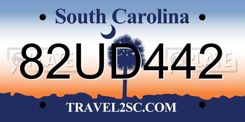 82UD442 South Carolina License Plate