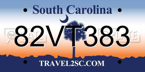 82VT383 South Carolina License Plate