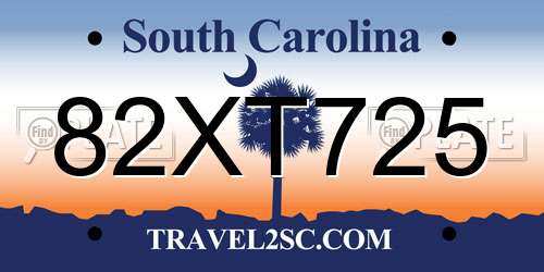 82XT725 South Carolina License Plate