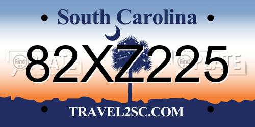 82XZ225 South Carolina License Plate