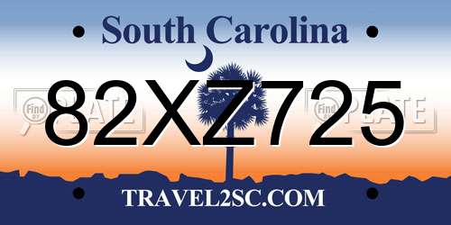82XZ725 South Carolina License Plate